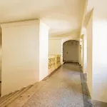 Highnest